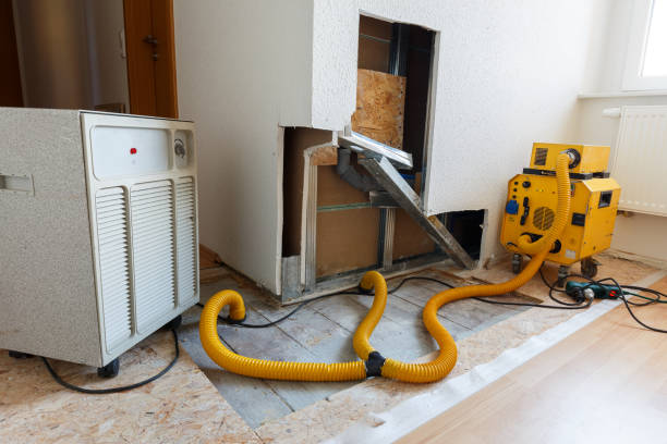 Professional Mold Removal in Menominee, MI